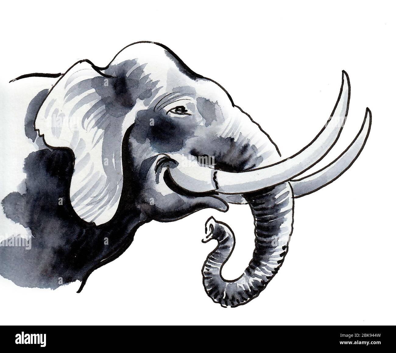 Tete D Elephant D Afrique Dessin A L Encre Et Aquarelle Photo Stock Alamy