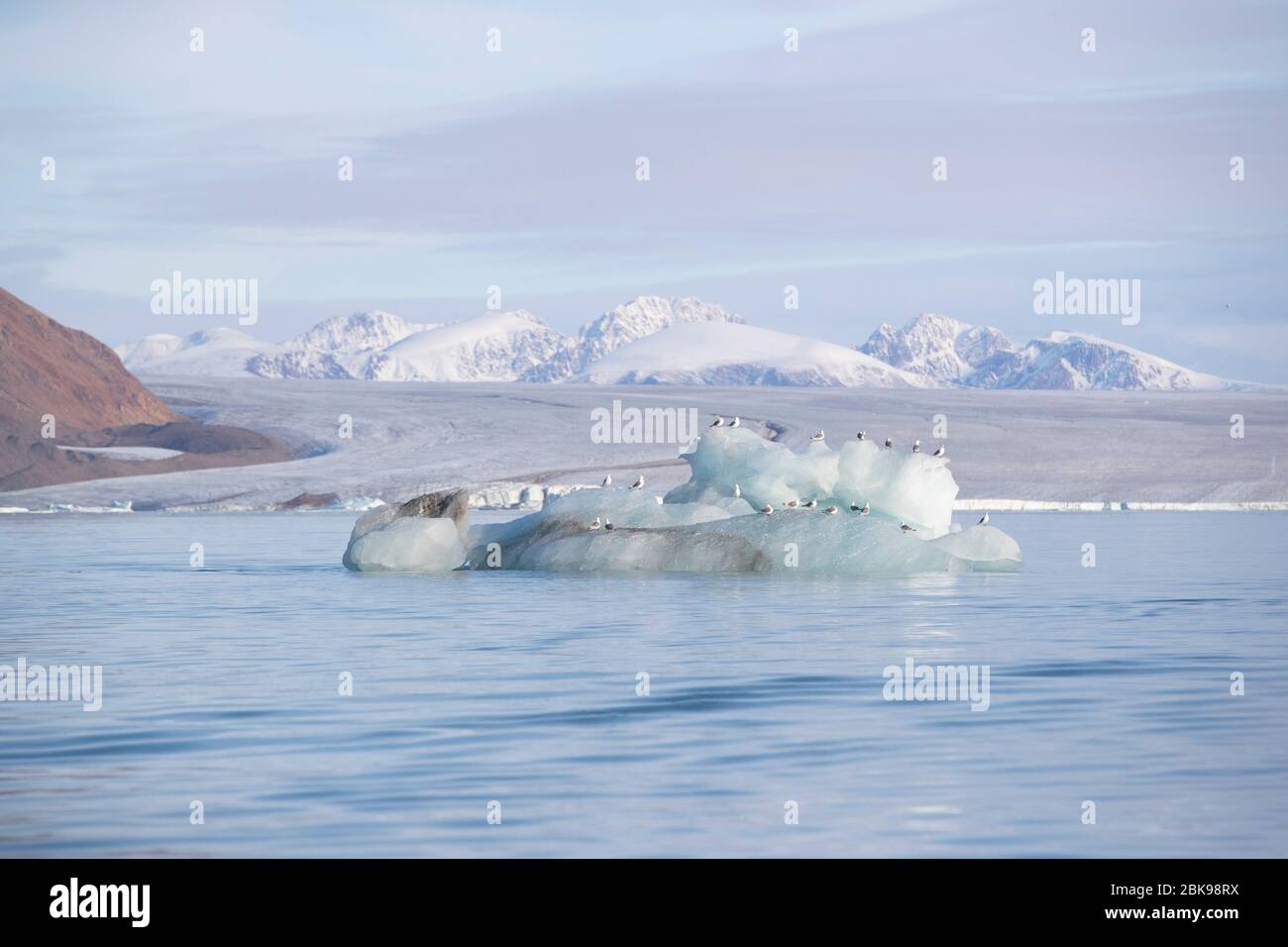 Bel iceberg et son environnement Banque D'Images