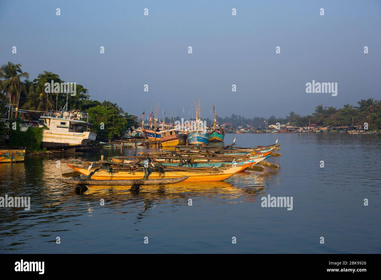 Bateaux de pêche dans le port de Negombo, Sri Lanka Banque D'Images