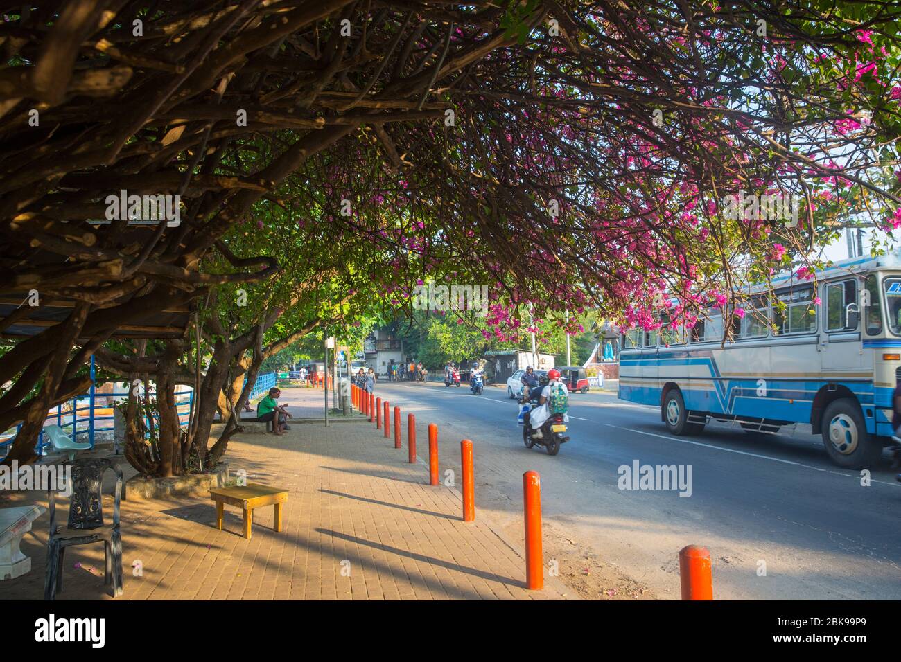 Belle route à Negombo au Sri Lanka. Banque D'Images