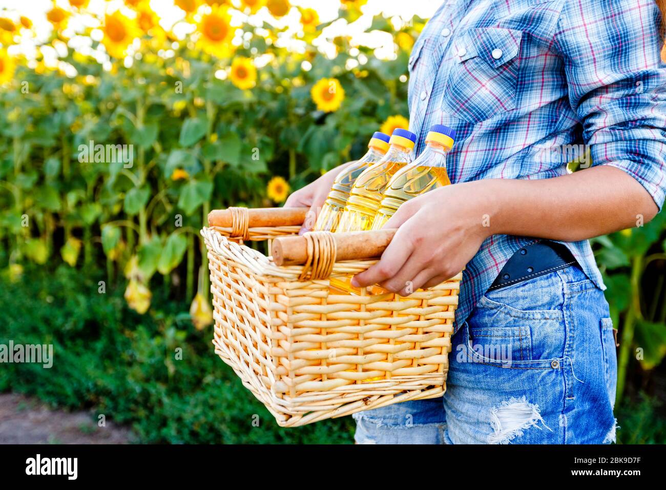 Panier en osier avec trois bouteilles d'huile de tournesol dans les mains des filles Banque D'Images