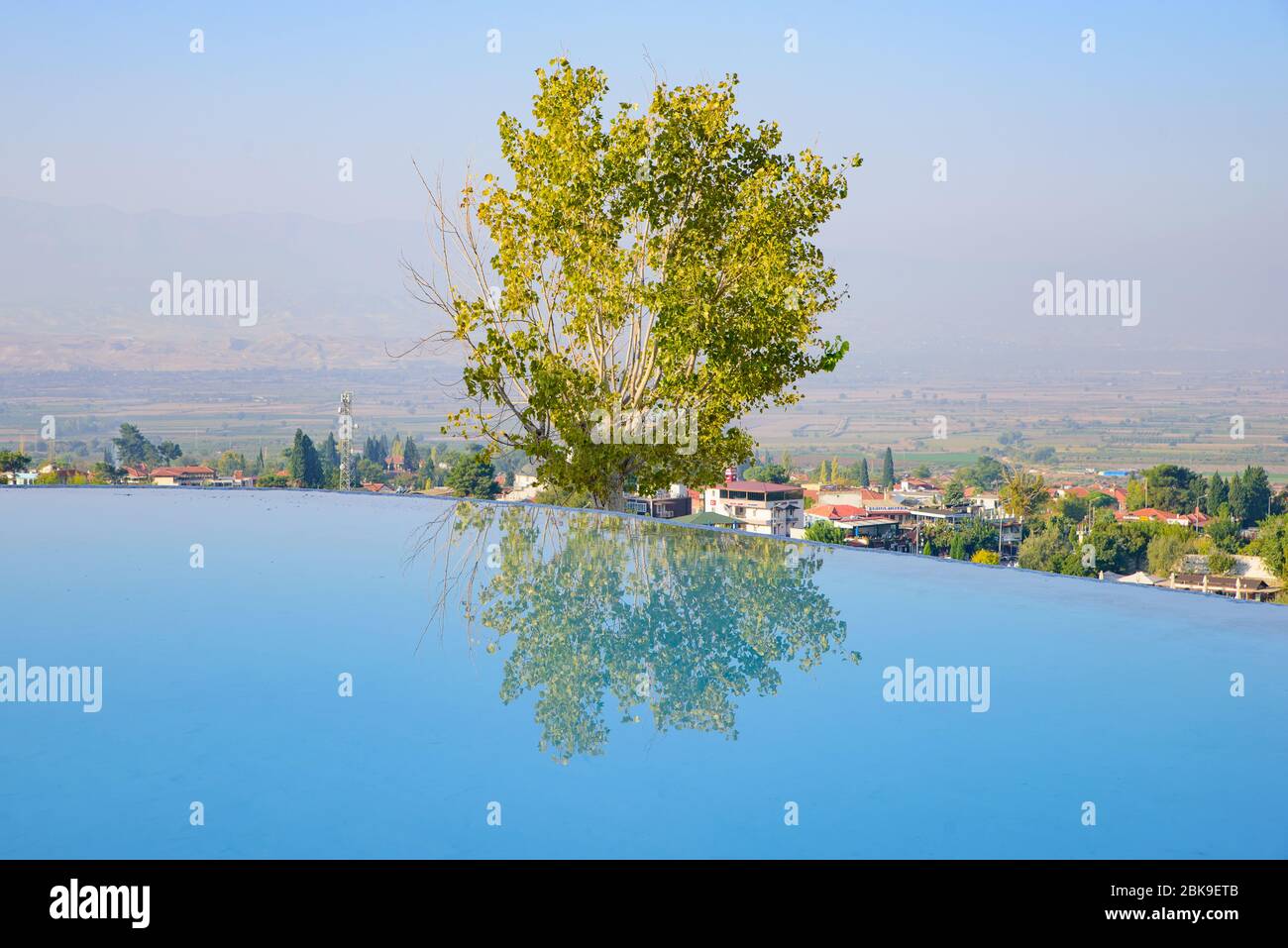 Un arbre et réflexion sur la piscine de Pamukkale (château de coton), Denizli, Turquie Banque D'Images