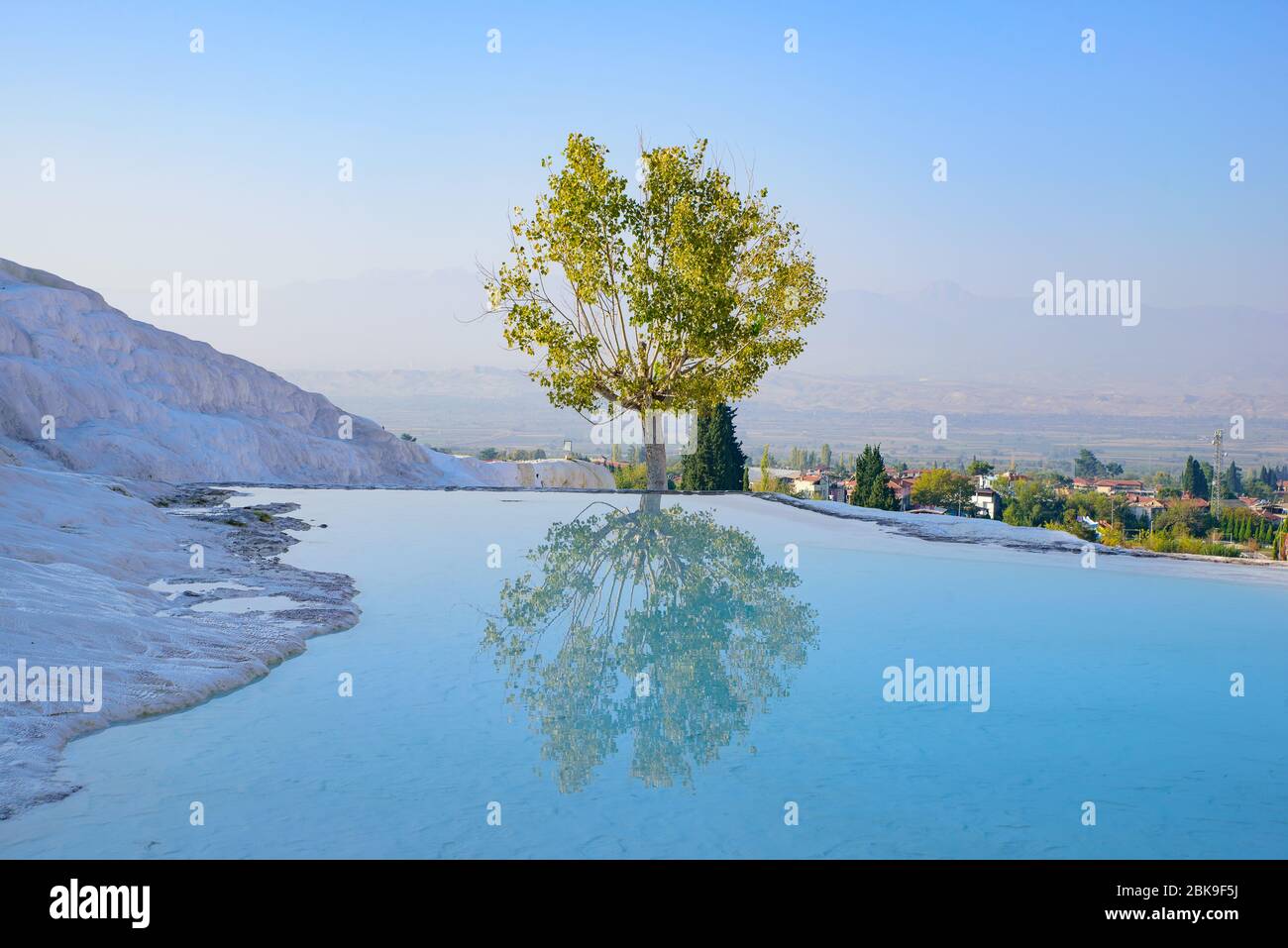 Un arbre et réflexion sur la piscine de Pamukkale (château de coton), Denizli, Turquie Banque D'Images
