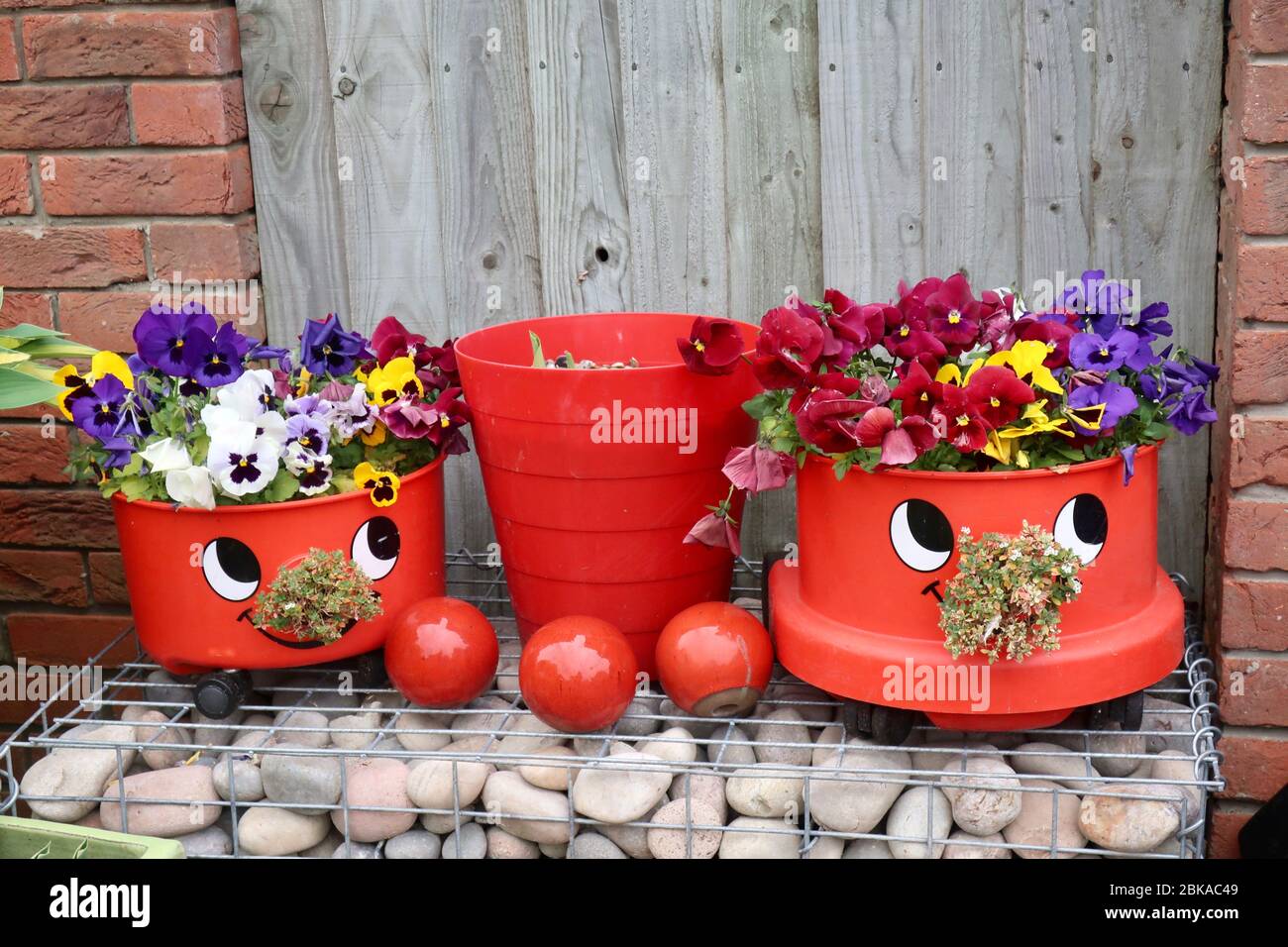 Ipswich, Suffolk, Royaume-Uni - 3 mai 2020: Les aspirateurs Henry Hoover ont sauvé de la pointe et utilisé pour afficher des pansies aux couleurs vives. Banque D'Images