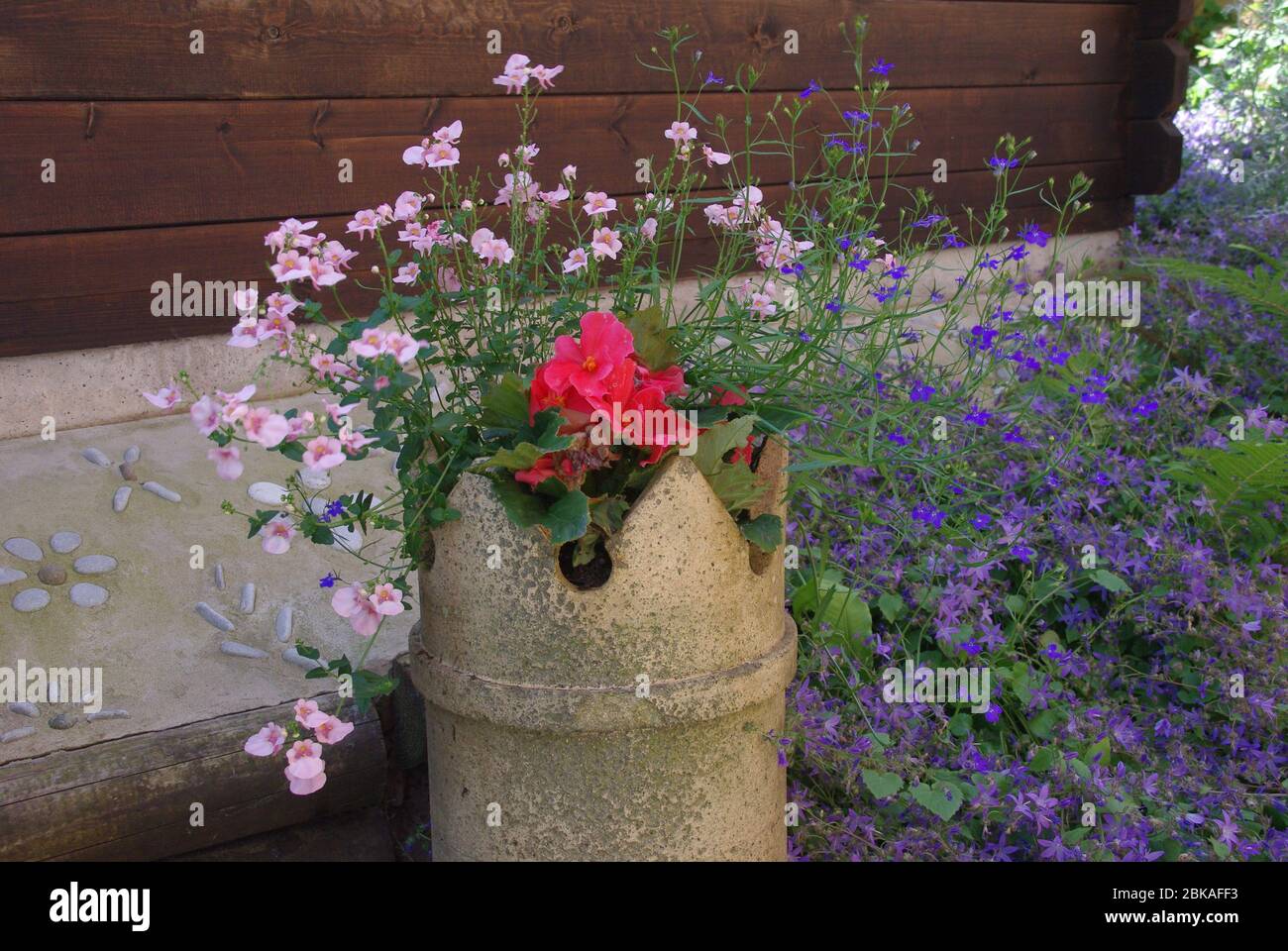 Fleurs dans un pot de cheminée Banque D'Images