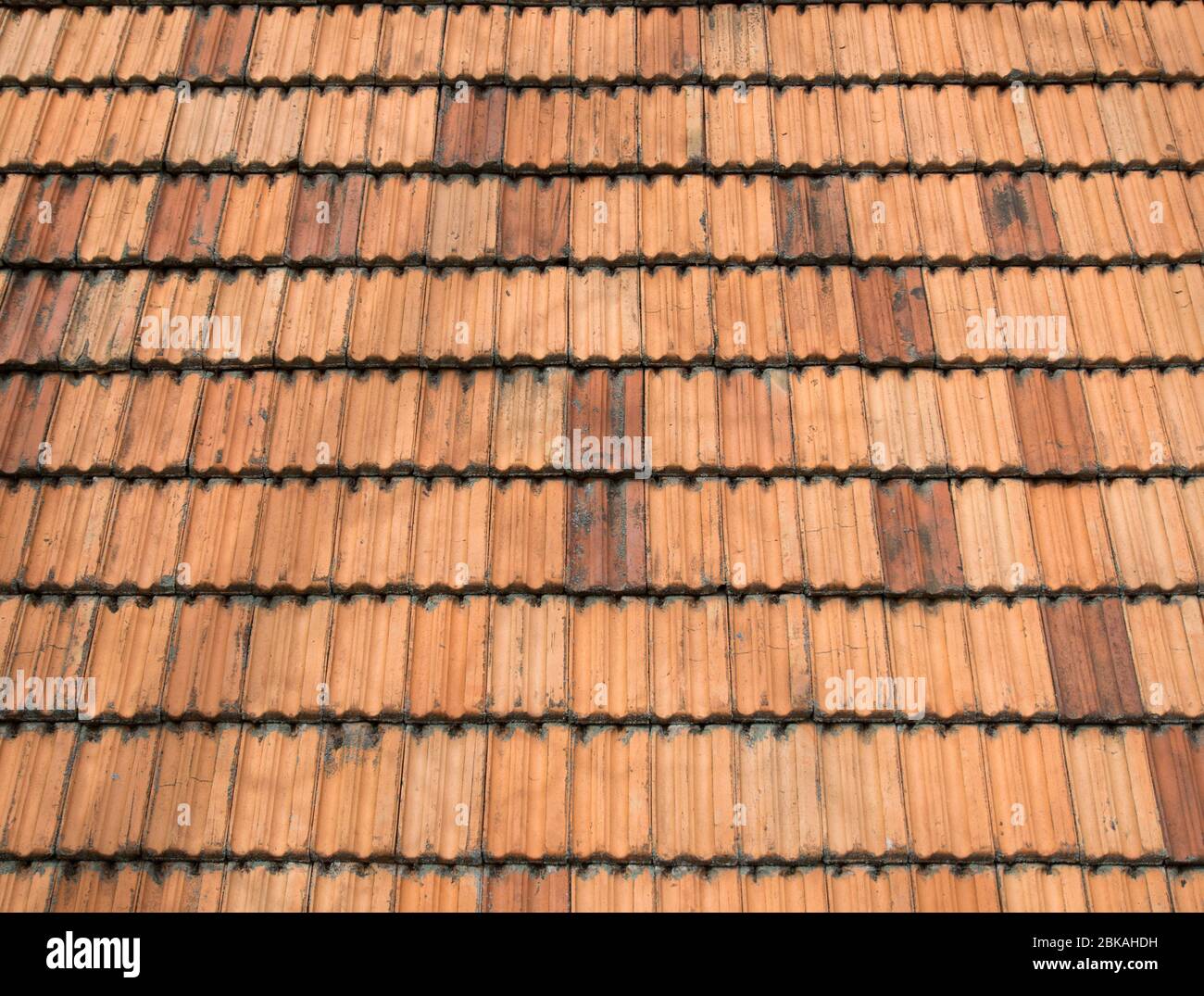 bardeaux toit orange Banque D'Images