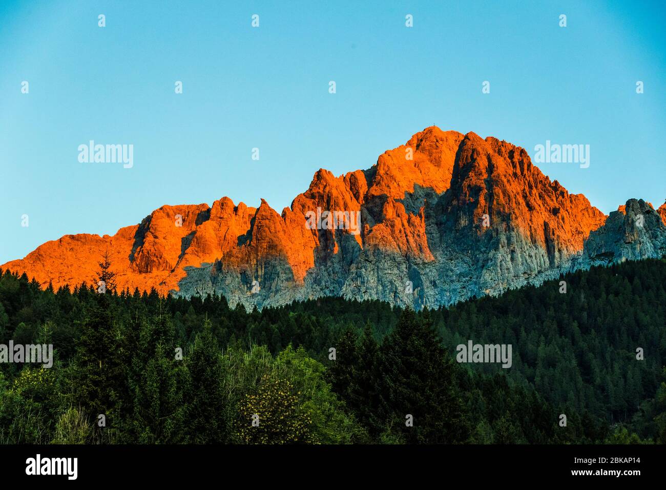 Italie - Trentin - Dolomites Pale di San Martino - vue sur Agner depuis da Voltago Agordino Banque D'Images
