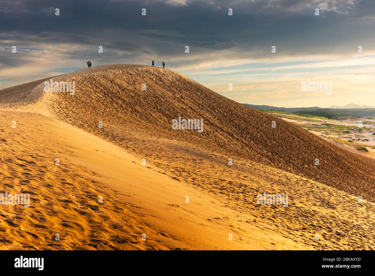 Les dunes de sable de Tottori au Japon, sur la mer du Japon. Banque D'Images