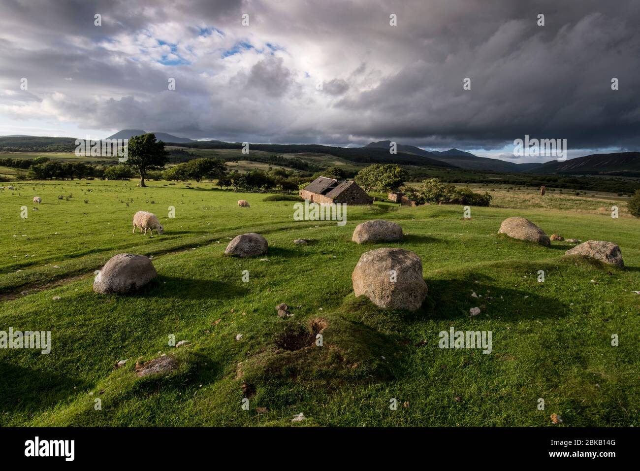 Machrie Moor pierres debout et cercle de pierre, arran Banque D'Images