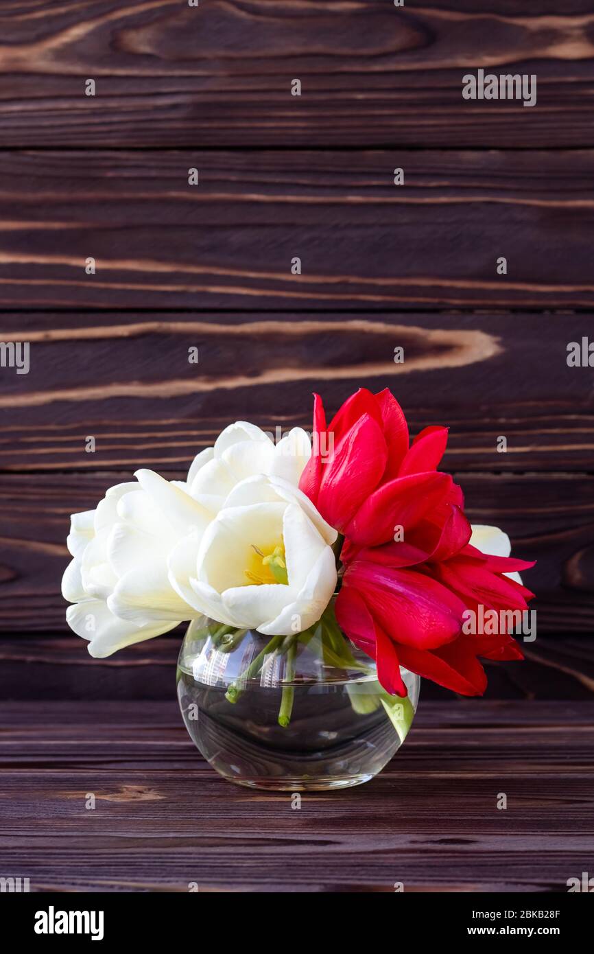 Bouquet de tulipes blanches et rouges sur fond de panneaux en bois sombre. Carte cadeau de vacances, cadre de célébration. Maquette avec fleurs. Espace de copie, espace vide pour Banque D'Images