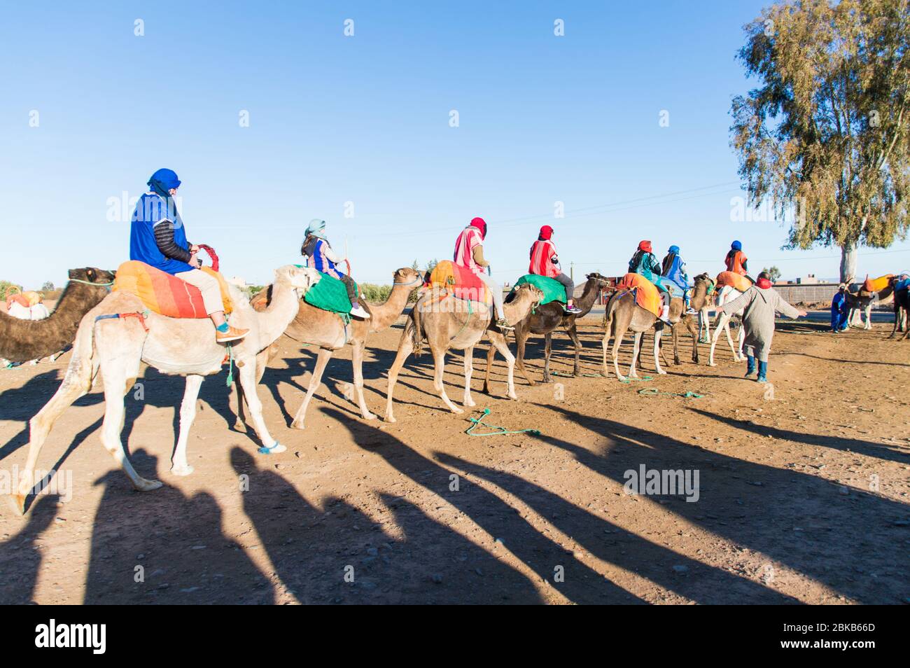 Groupe de touristes se préparer pour une promenade en chameau avec les longs vêtements traditionnels et la tête couvrant Marrakech, Maroc, Afrique du Nord Banque D'Images
