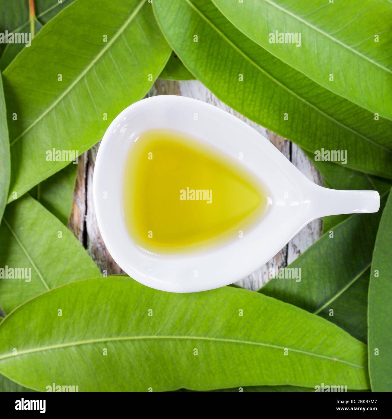 l'huile essentielle d'eucalyptus dans le bol, avec des feuilles d'eucalyptus sur fond de bois Banque D'Images