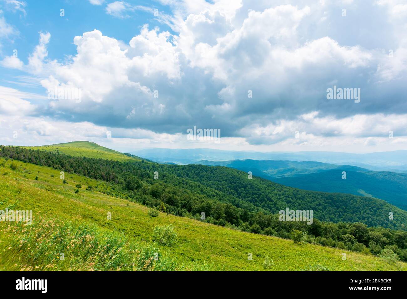 prés alpins de mnt. runa, ukraine. forêt de conifères au loin. beau paysage naturel des montagnes de carpates en été. temps nuageux Banque D'Images