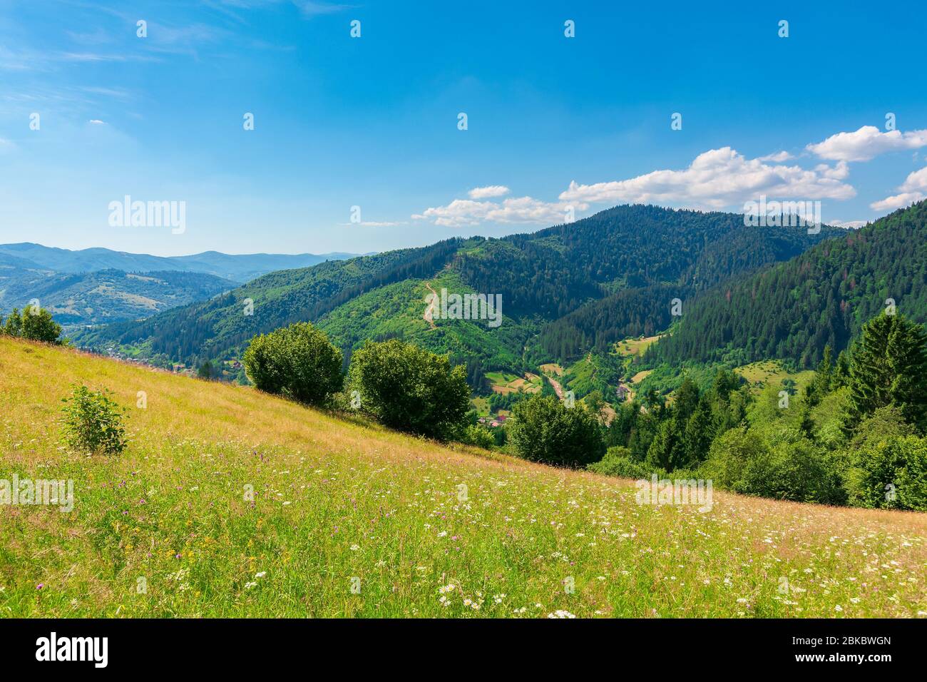 champs et prairies de paysage rural en été. paysage idyllique de montagne sur une journée ensoleillée. herbe couverte collines qui s'enroulent à la crête lointaine sous Banque D'Images