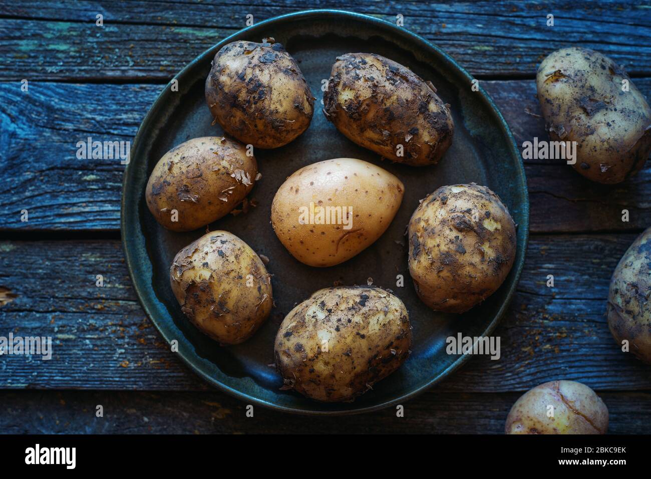 Des pommes de terre jeunes non cuites sales et lavées dans une assiette sur une vieille table de bois de la nourriture de ferme Banque D'Images