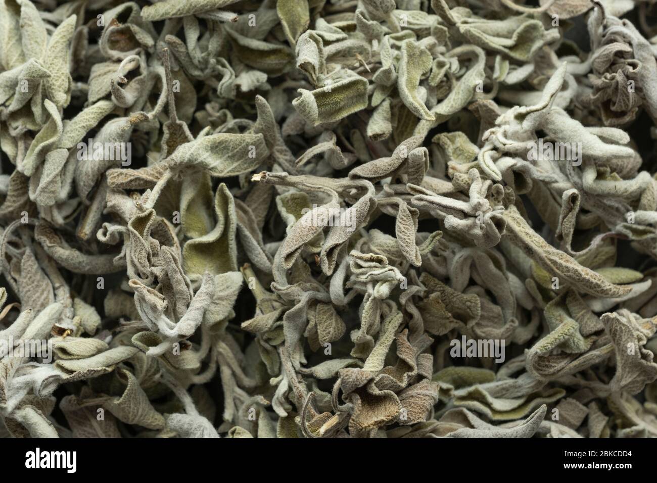 Sécher les feuilles de sauge. Ingrédients biologiques et sains pour le thé. Banque D'Images