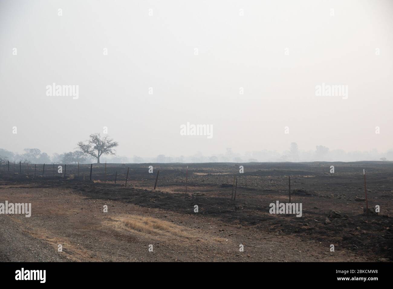 Le 17 novembre 2018, le cortège du président Donald J. Trump traverse des quartiers de Paradise, en Californie, dévastés par l'incendie de Camp. L'incendie, l'un des plus meurtriers de l'histoire de la Californie, a causé des destructions généralisées dans toute la ville. Banque D'Images
