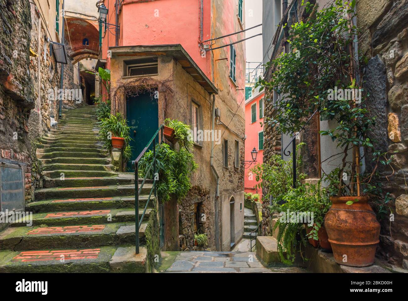 Ancienne rue italienne de la ville Vernazza avec escaliers médiévaux et pots avec plantes vertes avec personne sur la côte de Cinque Terre, Ligurie, Italie, Europe Banque D'Images