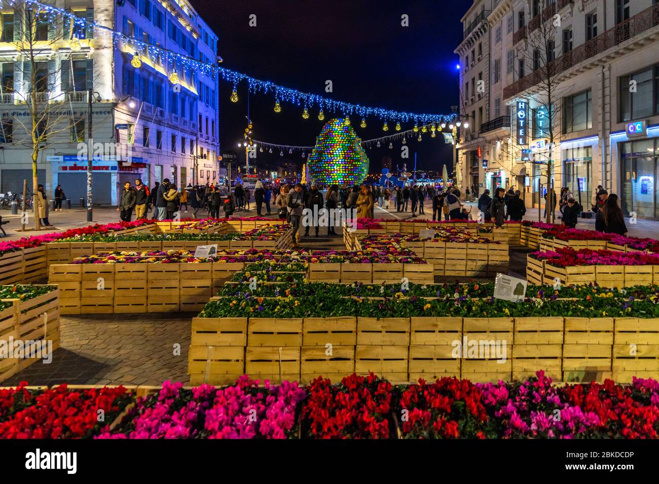 Marseille, France, 1 janvier 2020 – fleurs décorant la Canebière, la principale avenue de Marseille pendant la saison de Noël Banque D'Images