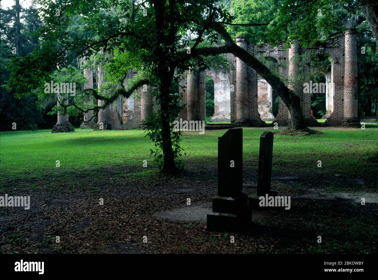 Les ruines de l'église paroissiale du Prince William de Old Sheldon, Sheldon, Caroline du Sud Banque D'Images