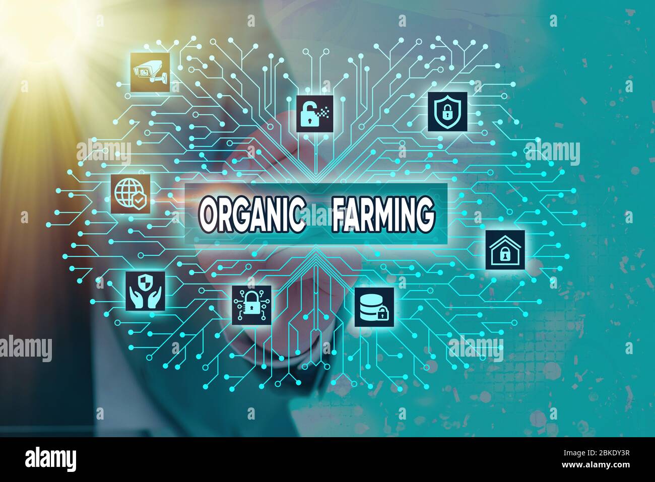 Texte écrit Organic Farming. Photo d'entreprise présentant un système agricole intégré qui s'efforce de garantir la durabilité Banque D'Images