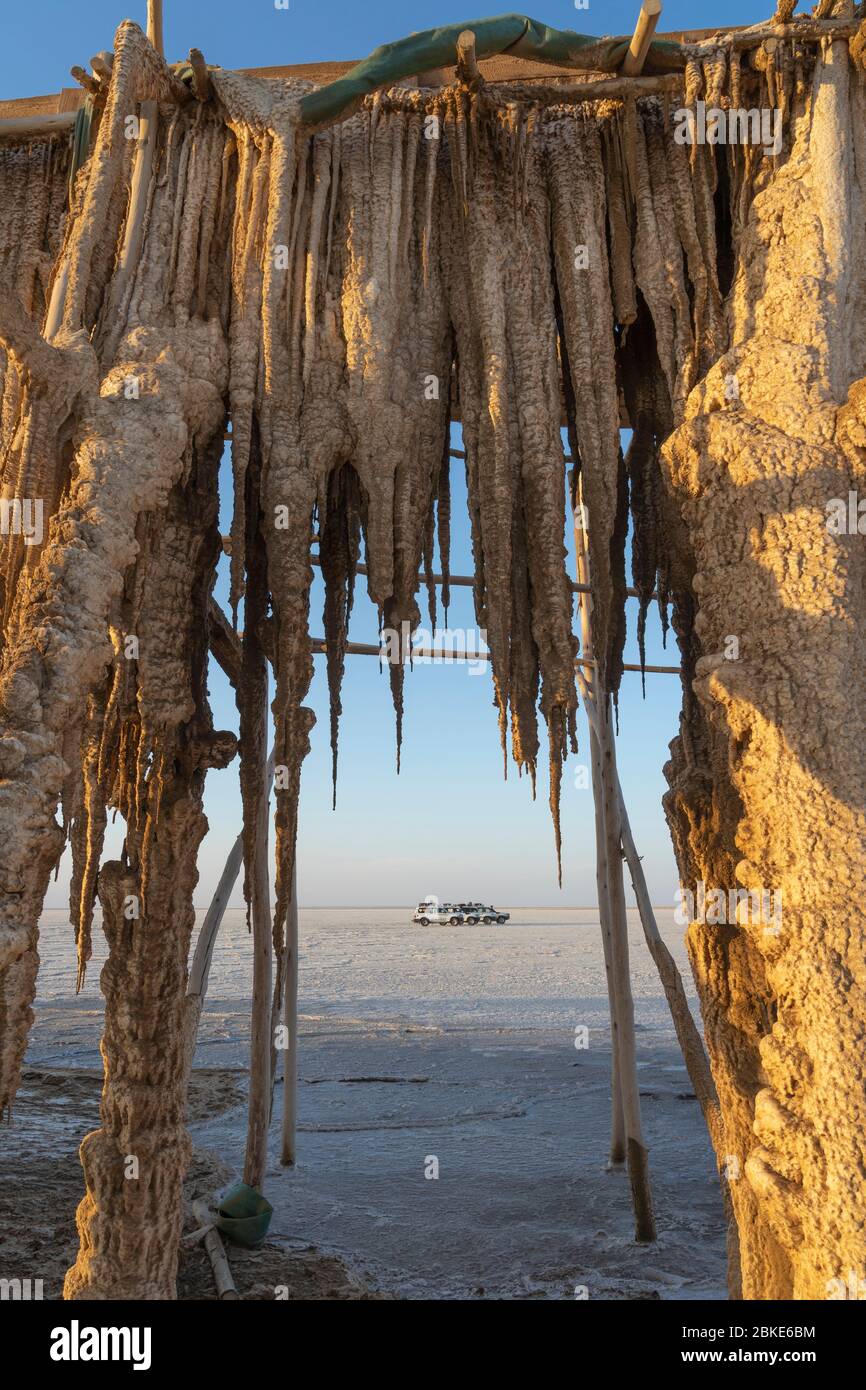 Concrétions de sel dans les plaines salines de la dépression de Danakil en Ethiopie. Banque D'Images
