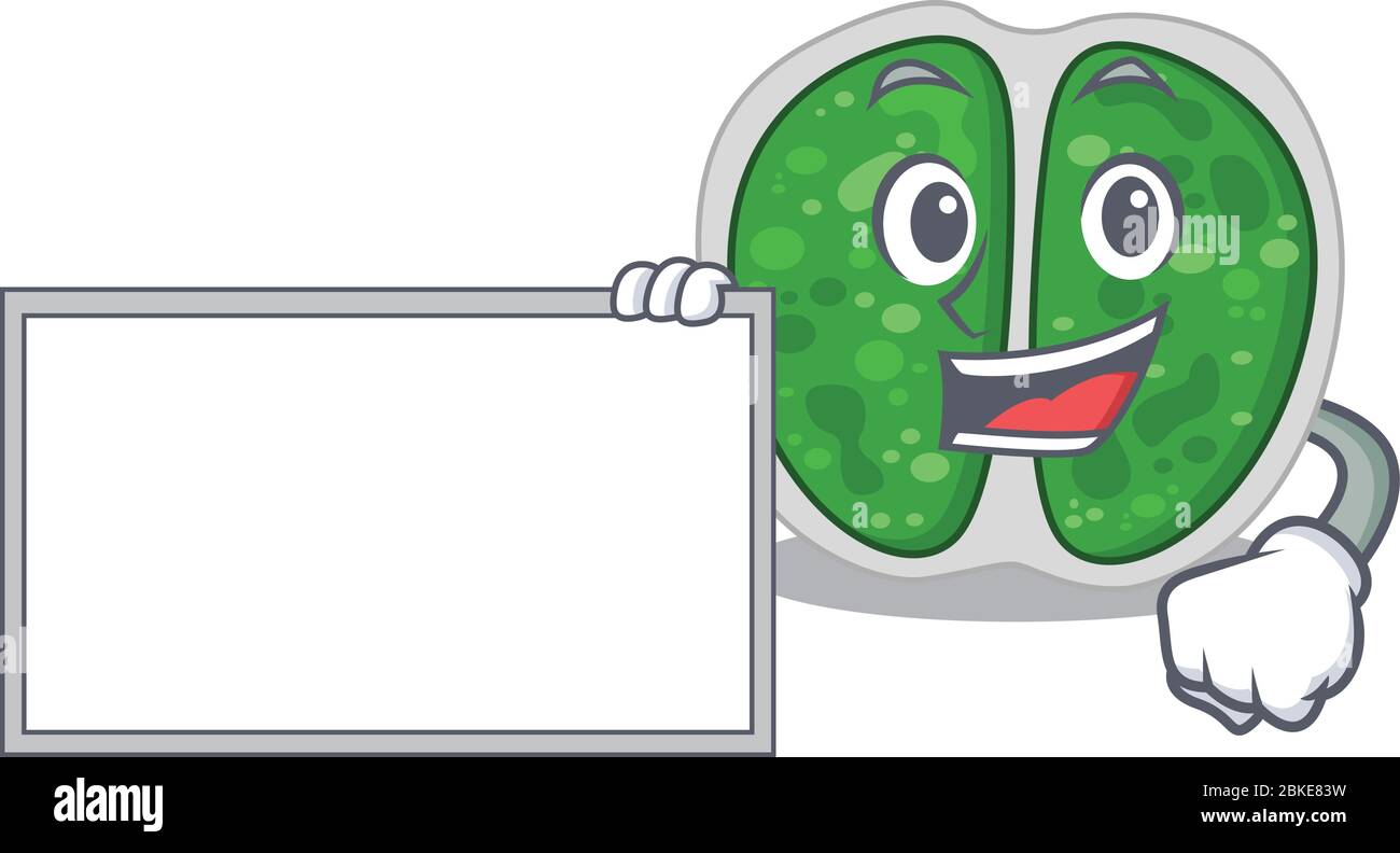 Motif à caractères de dessin animé de bactéries Chromococcales avec planche Illustration de Vecteur