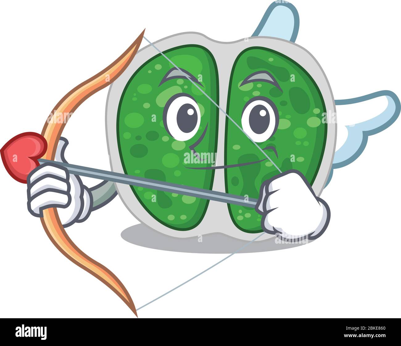 Les bactéries Chromococcales dans le personnage de dessin animé cupidé avec flèche et ailes Illustration de Vecteur