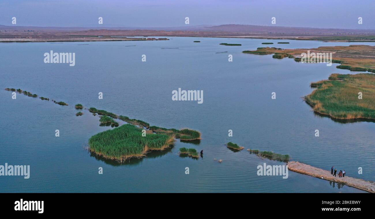 Yinchuan. 2 mai 2020. La photo aérienne prise le 2 mai 2020 montre le paysage du parc national des zones humides de Tianhu dans le comté de Zhongning de Zhongwei, dans le nord-ouest de la Chine, la région autonome de Ningxia hui. Crédit: Wang Peng/Xinhua/Alay Live News Banque D'Images