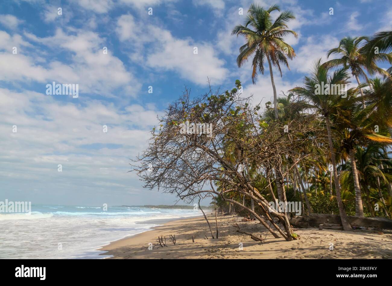 Palomino - Colombie, 19. Janvier 2020: Palomino une petite ville de plage sur la côte nord des Caraïbes. Avec son atmosphère détendue, c'est pratiquement un Banque D'Images