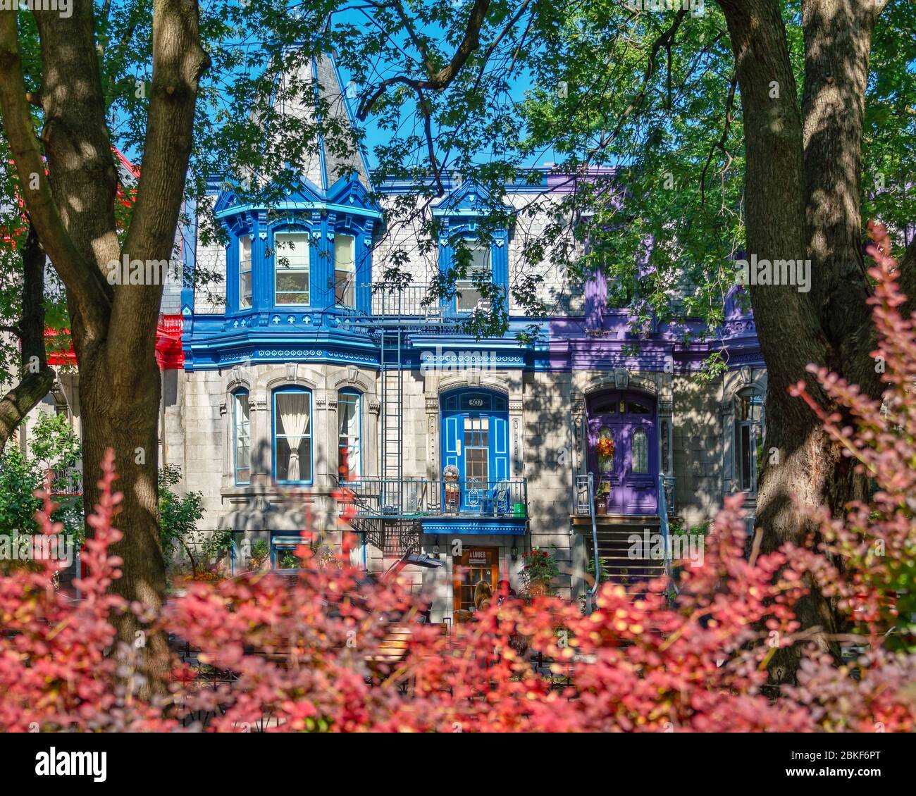 Maisons victoriennes colorées dans le plateau de l'arrondissement Mont-Royal à Montréal, Québec Banque D'Images