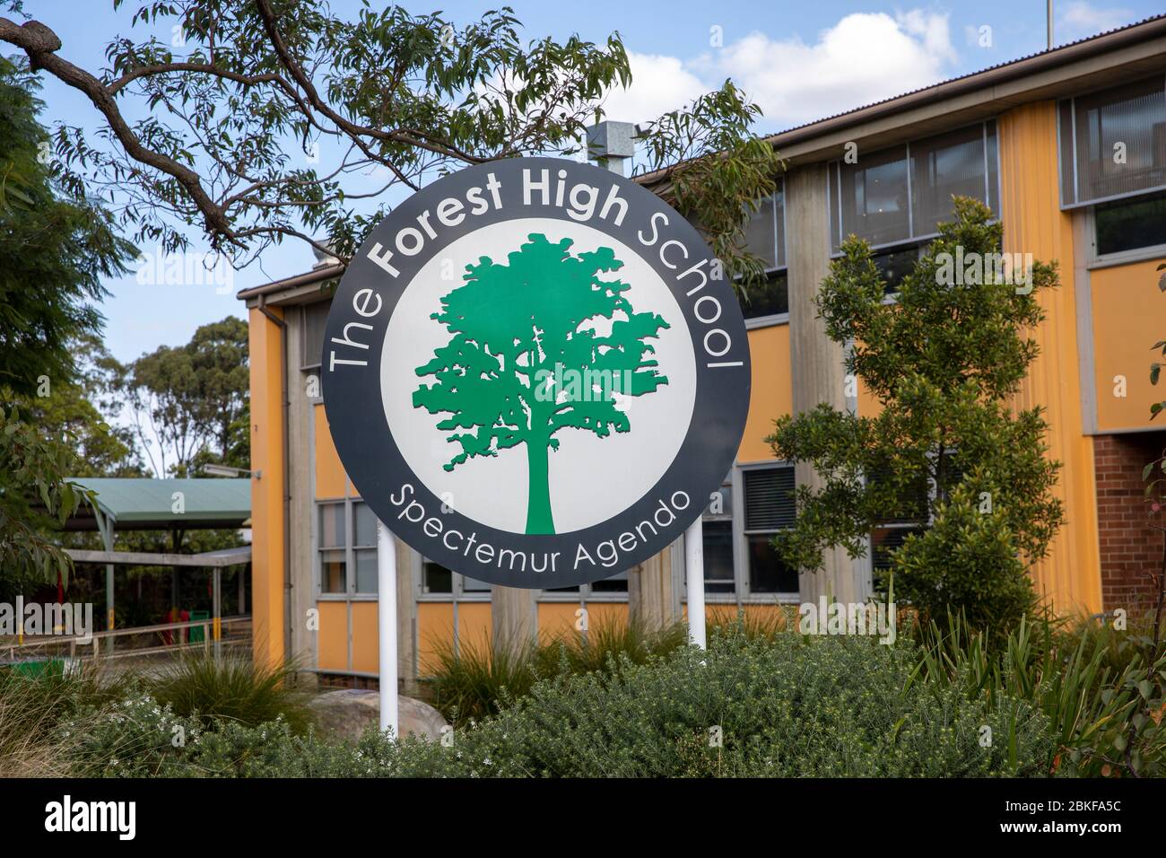 École secondaire Forest à Sydney sur les plages du nord de Sydney, Nouvelle-Galles du Sud, Australie Banque D'Images