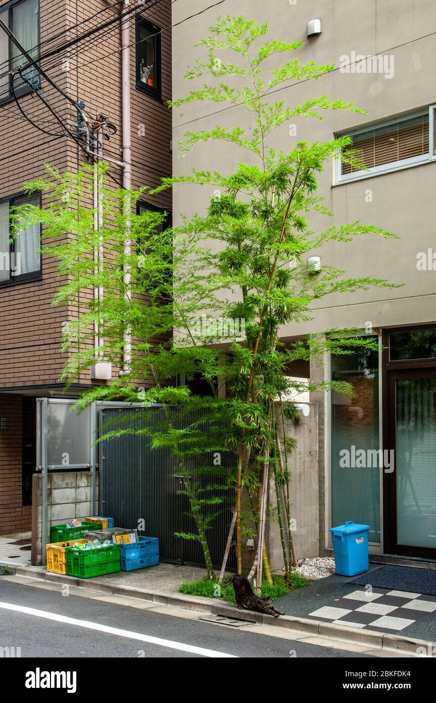 Scène de rue de Tokyo, Japon Banque D'Images