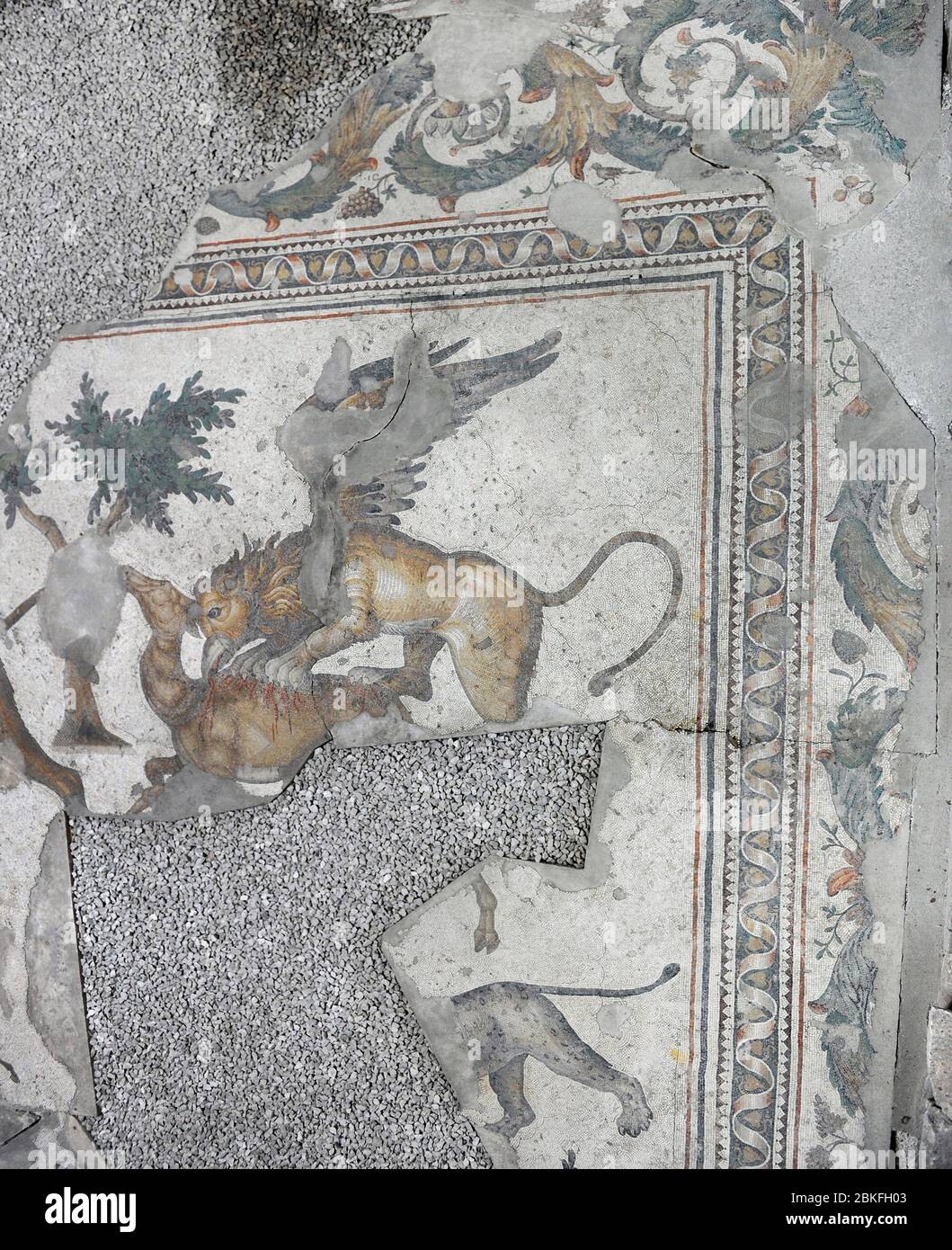 Grand Palais de Constantinople (période romaine orientale). Détail de l'une des mosaïques qui a décoré les trottoirs. Fantastique animal ailé attaquant un cerf. 4ème-6ème siècle. Grand musée des mosaïques du Palais. Istanbul, Turquie. Banque D'Images