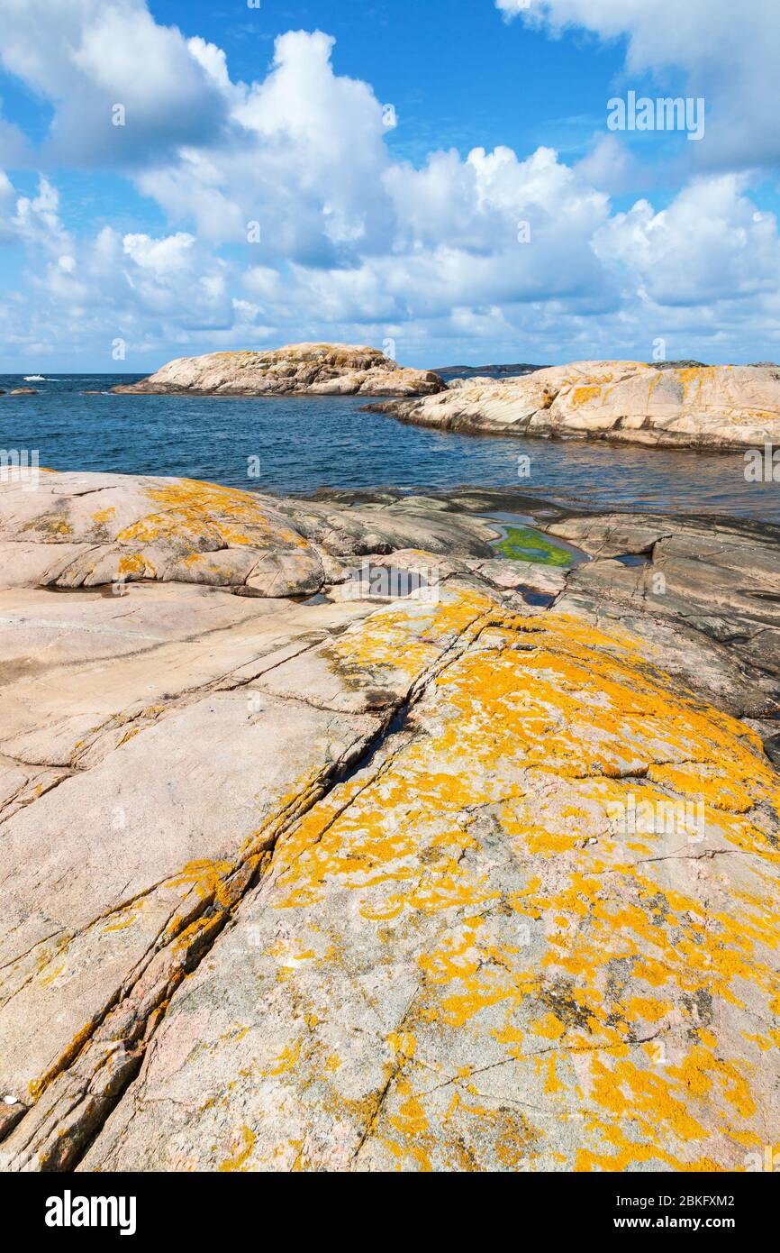 Suceur à lichen jaune sur les roches de l'eau Banque D'Images