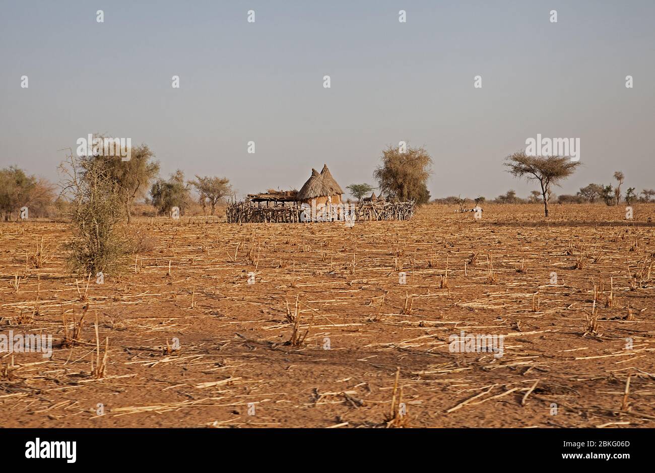 Burkina Faso, Sahel, Afrique de l'Ouest Banque D'Images