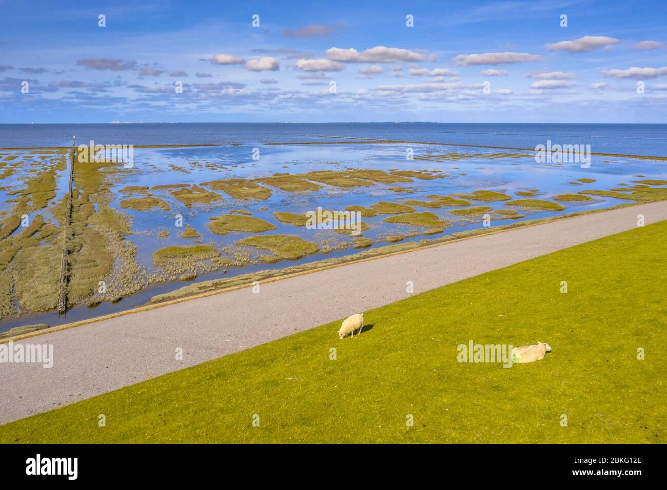 Vue aérienne du pâturage des moutons sur la digue de mer dans le parc national du marécage de Tidal et La zone du patrimoine mondial De L'Unesco Waddensea dans la province de Groningue. Netherlan Banque D'Images