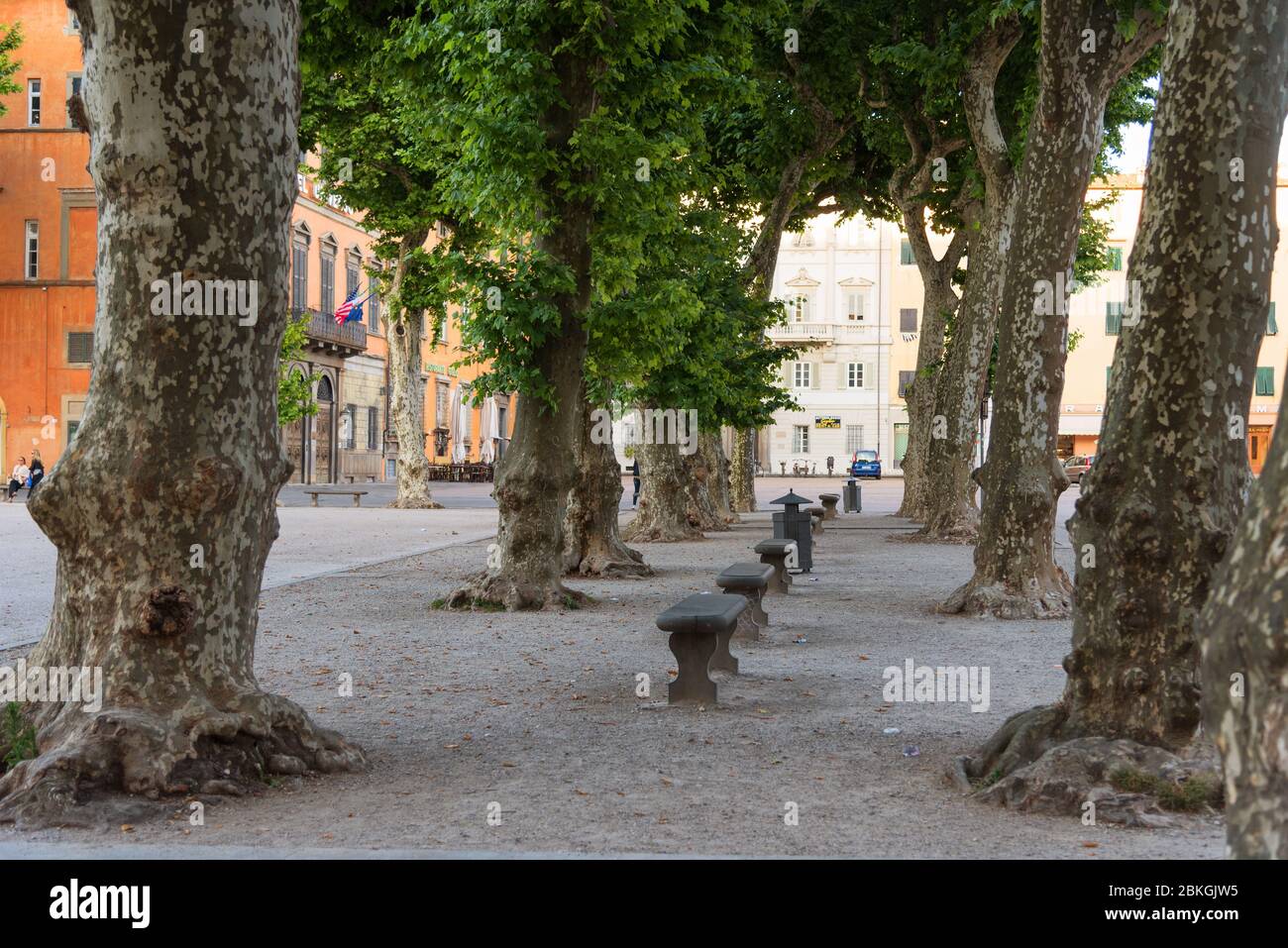 Place Piazza Napoleone Napoleone à Lucca, Toscane, Italie Banque D'Images