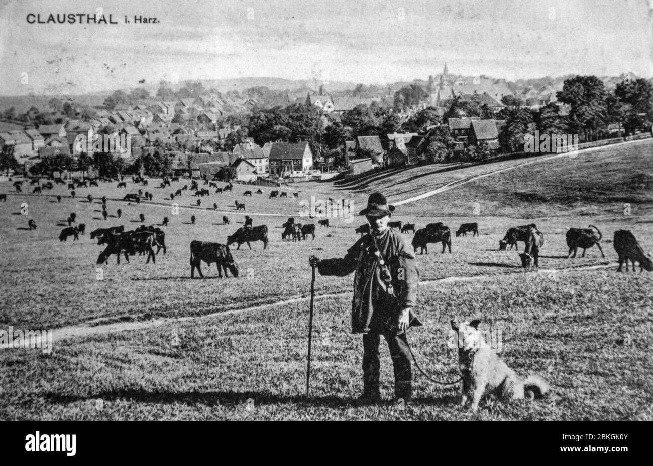 Carte postale historique d'un berger avec son chien, Clausthal, Harz, Allemagne Banque D'Images