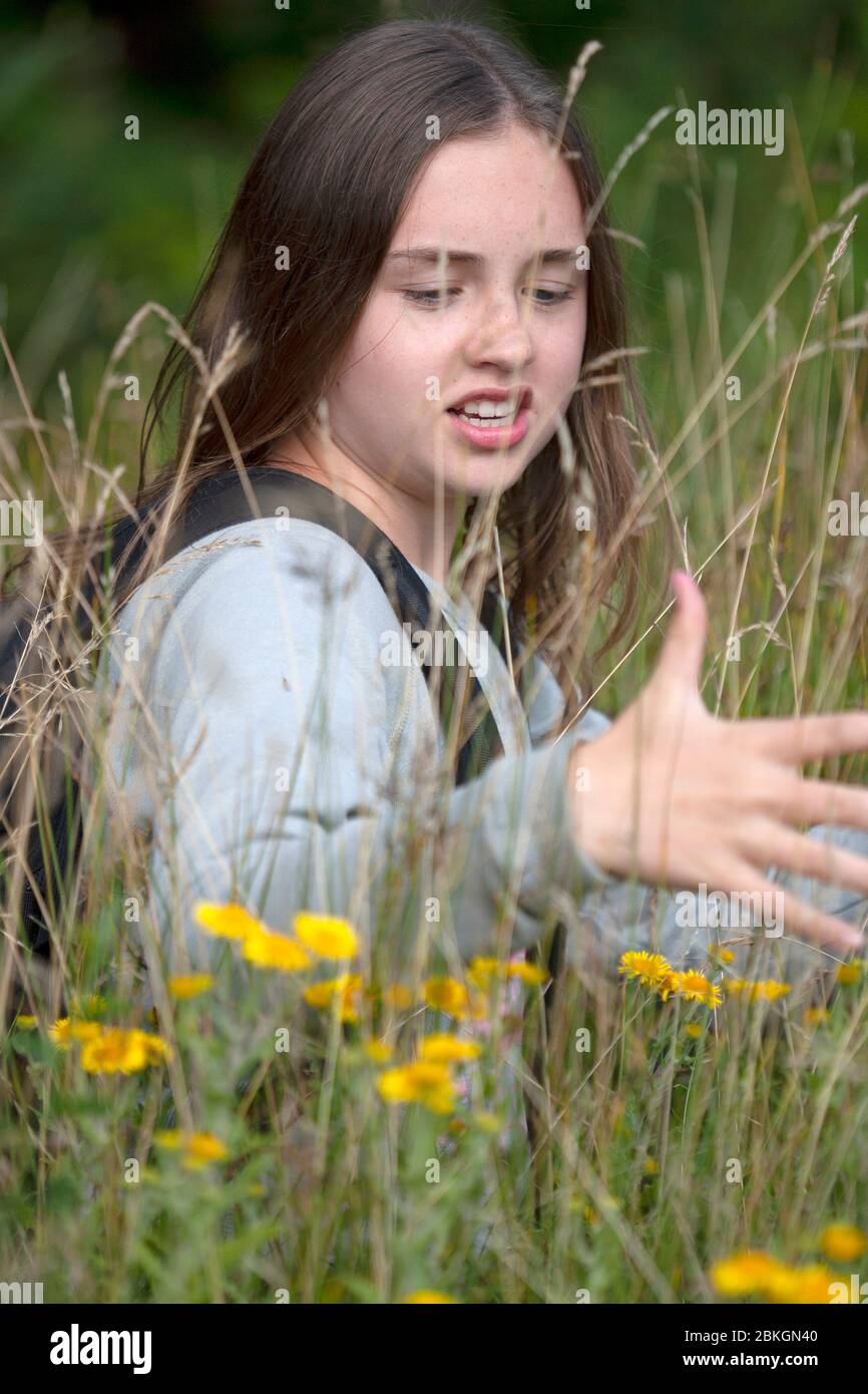 Jeune fille adolescente dans un pré anglais, entourée de longues herbes. Lancashire, Angleterre, Royaume-Uni Banque D'Images