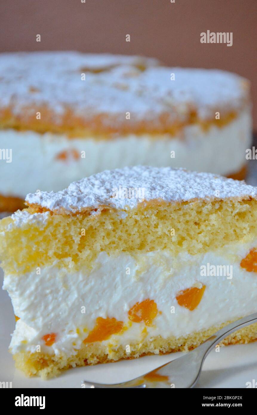 Gateau Au Fromage A La Creme Maison Avec Morceaux De Mandarines Sucre En Poudre Sur Le Dessus Pate A Gateau De Savoie Specialite Allemande Et Autrichienne Gateau De Mariage Banniere Photo Stock