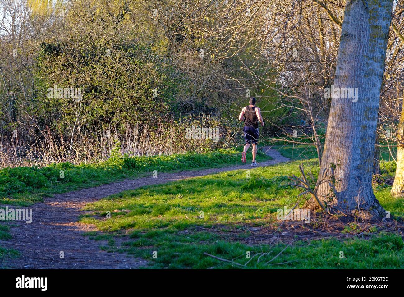 Vue arrière d'un coureur de sexe masculin s'exerçant sur un sentier dans la campagne de Shepperton Surrey au Royaume-Uni Banque D'Images