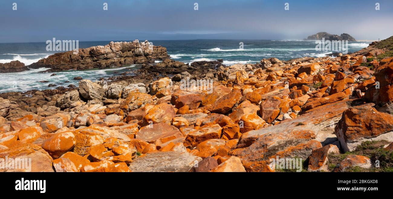 Afrique du Sud, Cap occidental, baie de Plettenberg, réserve naturelle de Robberg, littoral rocheux vers l'île, avec des vagues qui s'écrasent, panoramique Banque D'Images