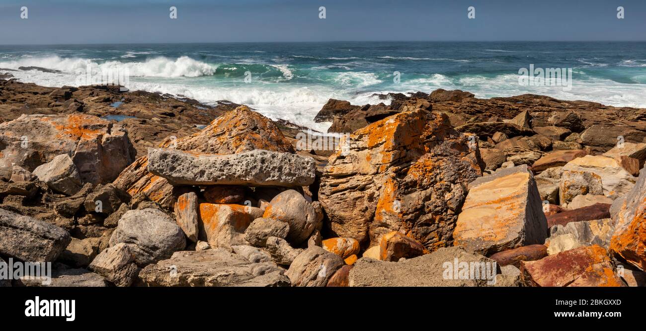 Afrique du Sud, Cap occidental, baie de Plettenberg, réserve naturelle de Robberg, Cap Seal, littoral rocheux avec vagues qui s'écrasent derrière, panoramique Banque D'Images