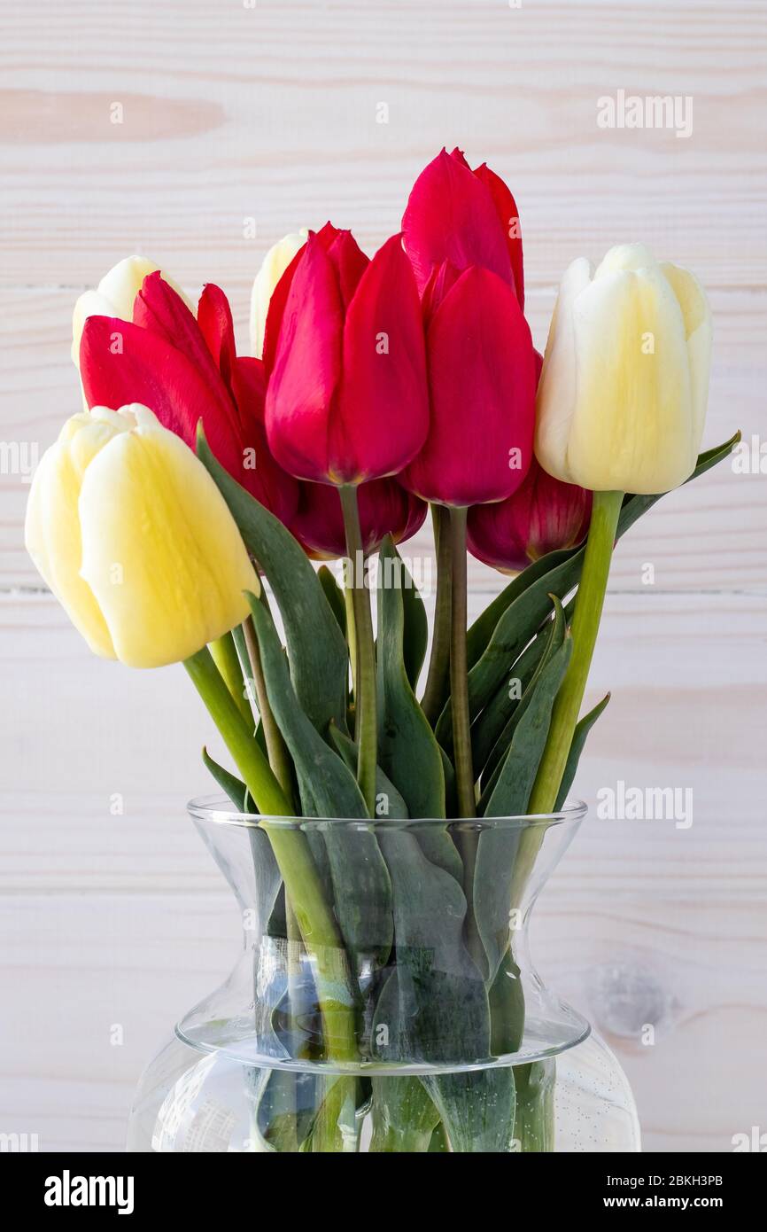 Bouquet de tulipes rouges et jaunes dans vase en verre sur fond de planche en bois blanc. Carte cadeau de vacances. Bouquet de fleurs colorées. Toujours la vie Banque D'Images