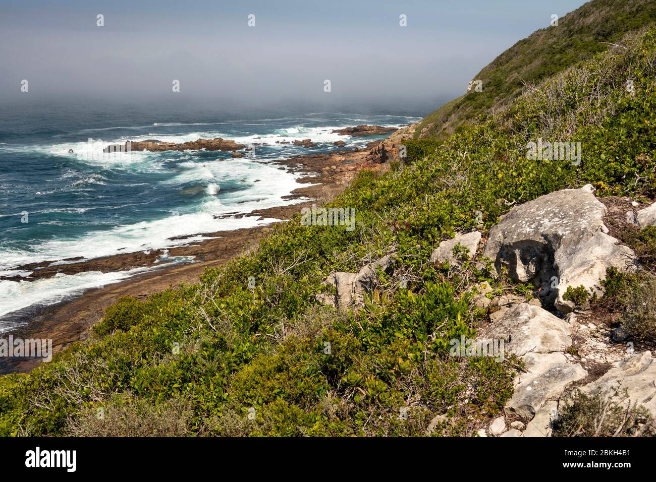 Afrique du Sud, Cap occidental, baie de Plettenberg, réserve naturelle de Robberg, littoral rocheux à côté du sentier de randonnée Banque D'Images