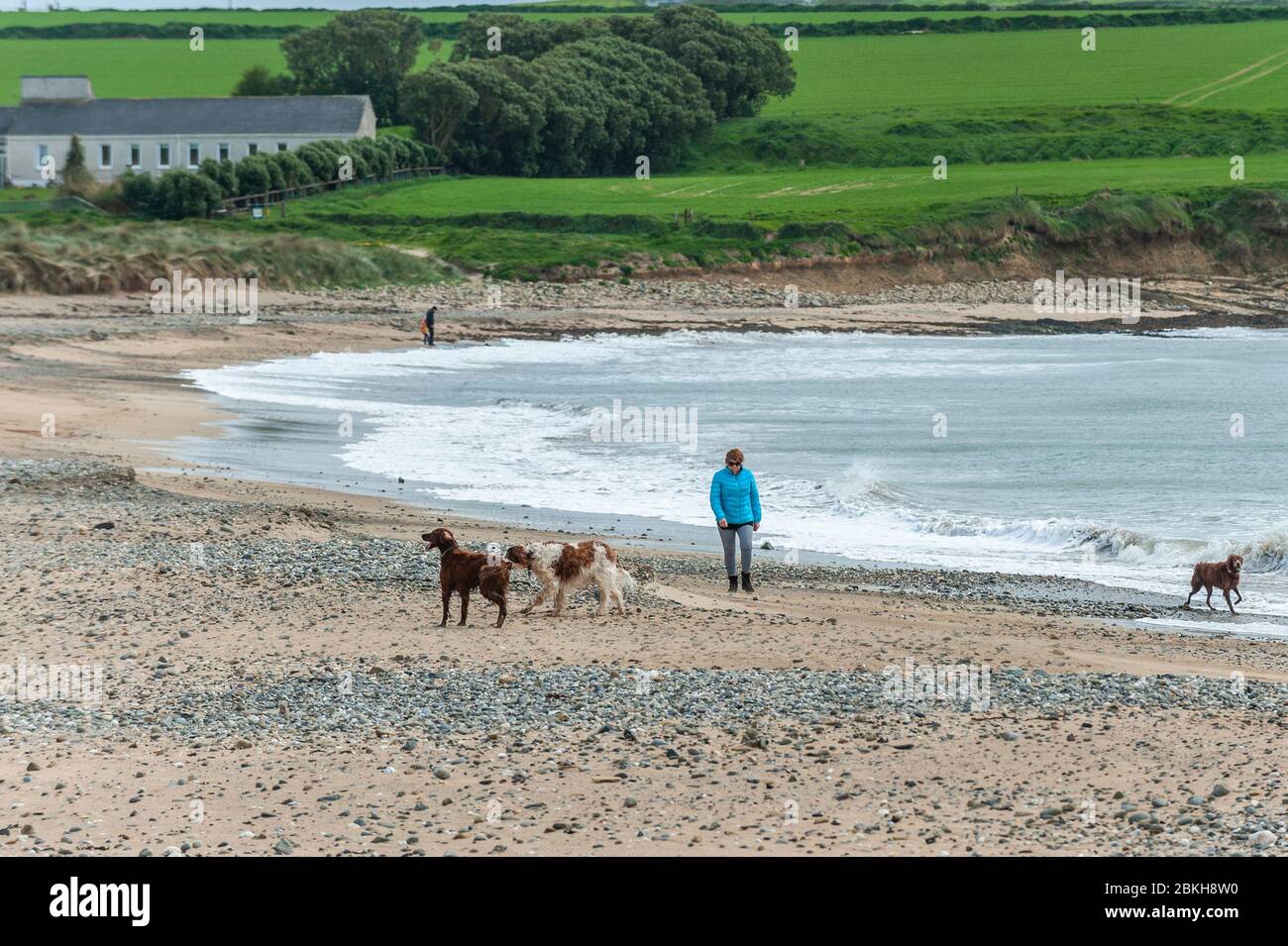 Garretstown, West Cork, Irlande. 4 mai 2020. Une femme marche aujourd'hui sur une plage de Garretstown presque déserte. En général, la plage était remplie de gens le lundi de mai, mais en raison du verrouillage Covid-19, les vacanciers ont séjourné à la maison. Crédit : AG News/Alay Live News Banque D'Images