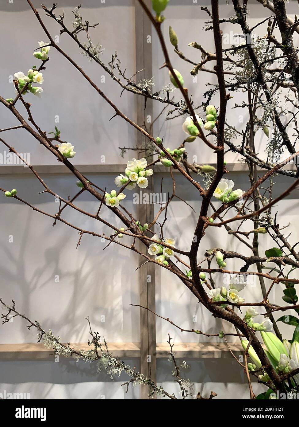 Vue rapprochée de fausses fleurs artificielles sur les branches. Banque D'Images