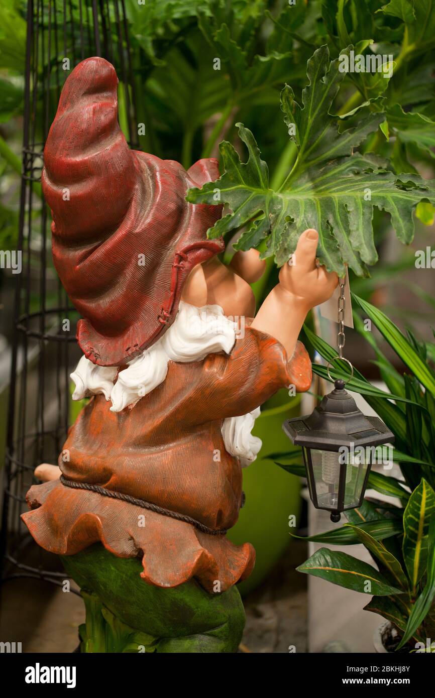 Joli petit nain dans un jardin. Décoration de gnome de jardin sur fond flou. Elf drôle dans le jardin. Tom. Pépirant. Banque D'Images