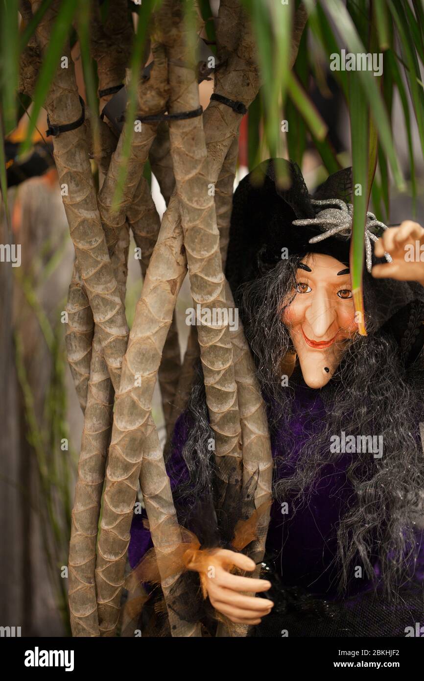 Sorcière souriante sympa pour Halloween. Sorcière d'Halloween sur fond flou. Sorcière joyeuse colorée. Banque D'Images